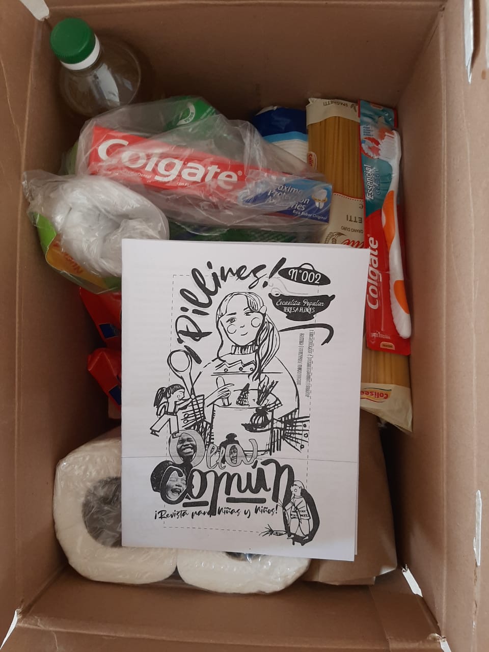 Actividades para niñes, fanzine Pillines en cajas de alimentos
